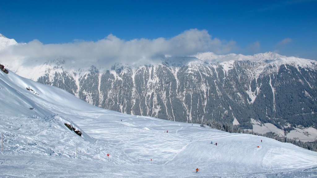 Clicca per vedere l'immagine alla massima grandezza