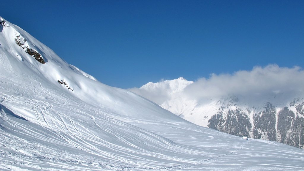 Clicca per vedere l'immagine alla massima grandezza