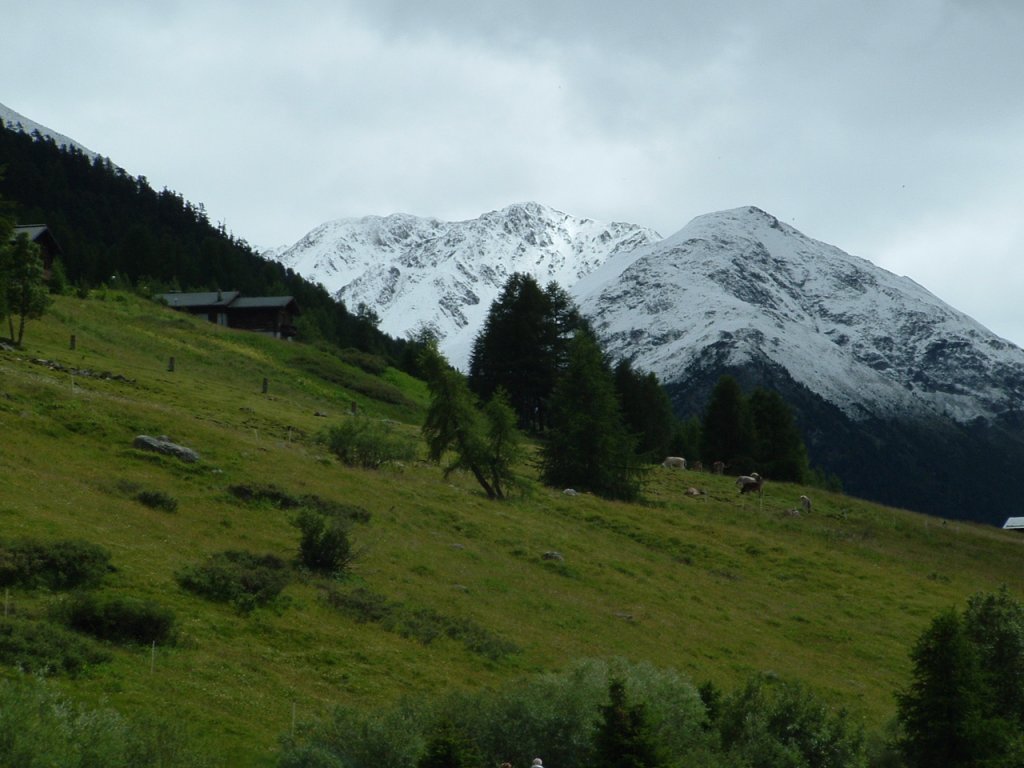 Clicca per vedere l'immagine alla massima grandezza