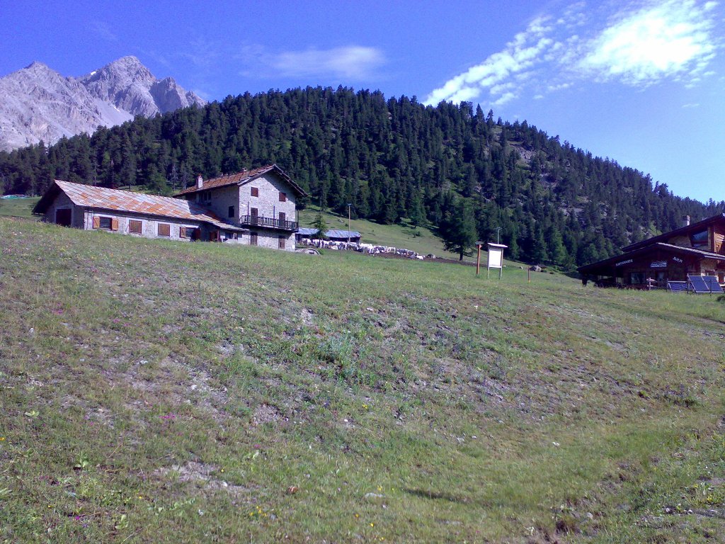 Clicca per vedere l'immagine alla massima grandezza