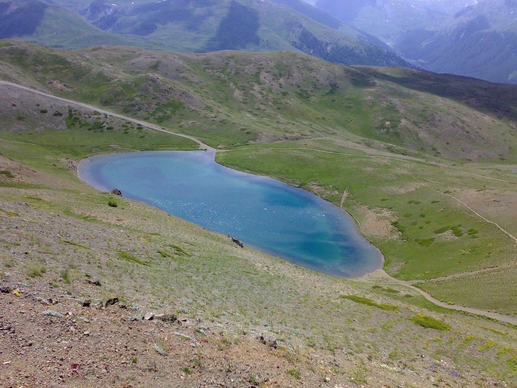 Clicca per vedere l'immagine alla massima grandezza