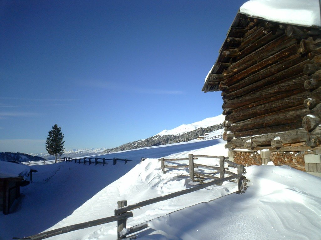 Clicca per vedere l'immagine alla massima grandezza