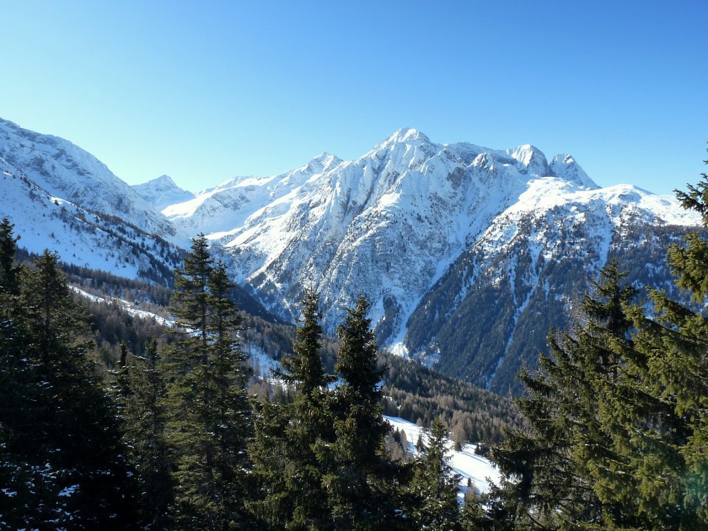 Clicca per vedere l'immagine alla massima grandezza