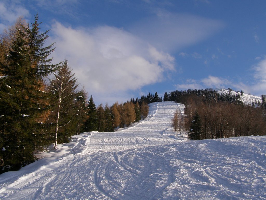 Clicca per vedere l'immagine alla massima grandezza