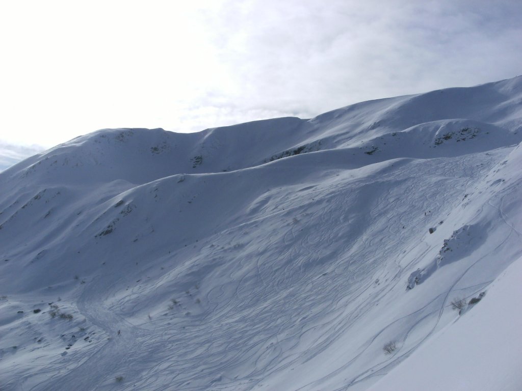 Clicca per vedere l'immagine alla massima grandezza