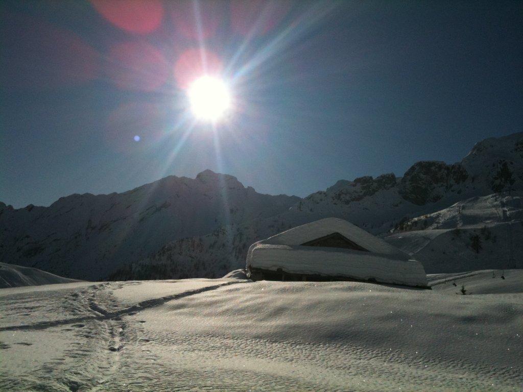 Clicca per vedere l'immagine alla massima grandezza