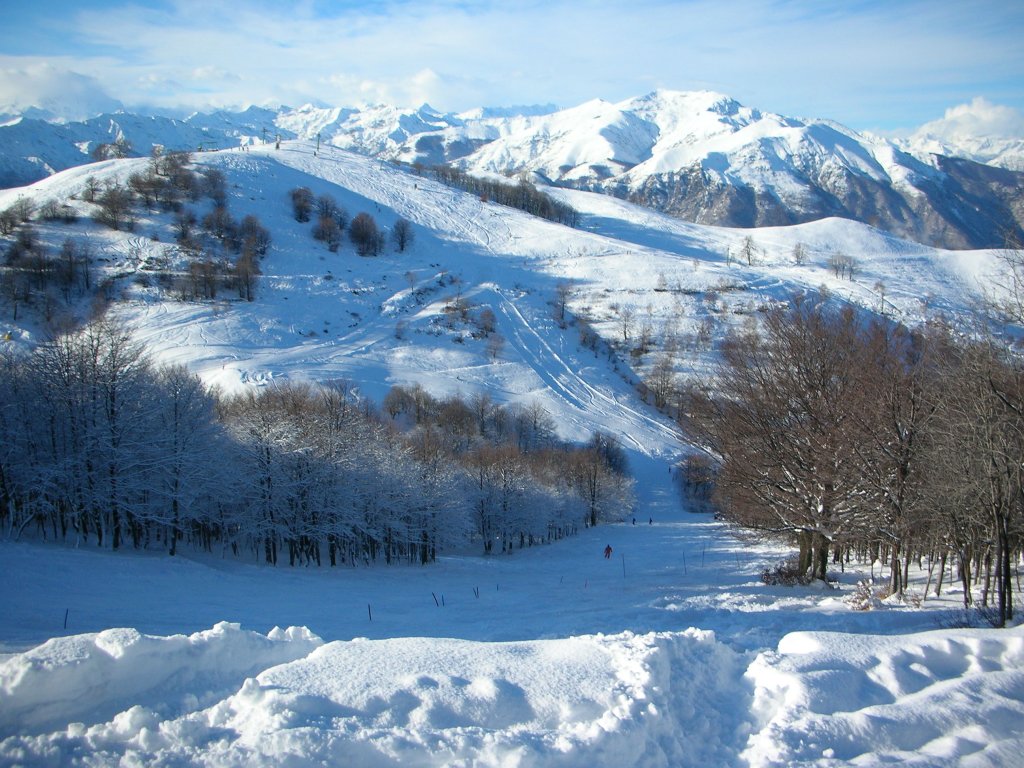 Clicca per vedere l'immagine alla massima grandezza