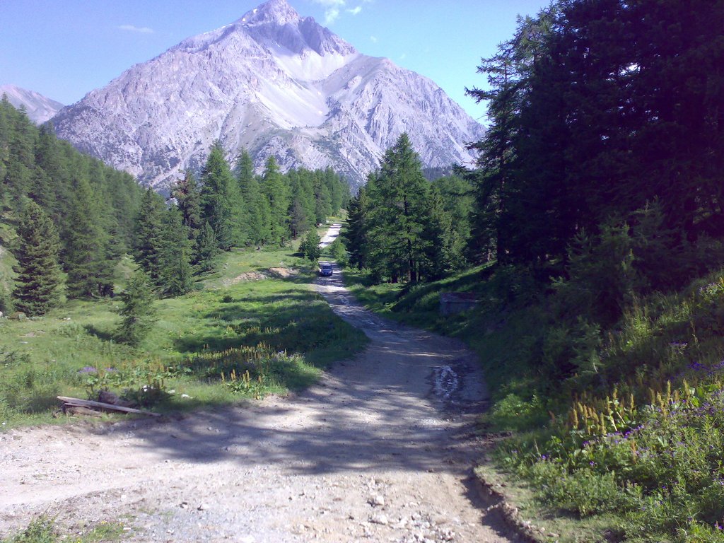 Clicca per vedere l'immagine alla massima grandezza