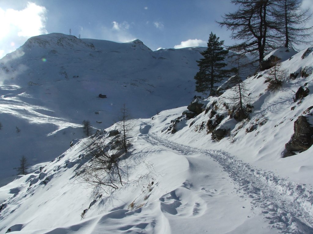 Clicca per vedere l'immagine alla massima grandezza