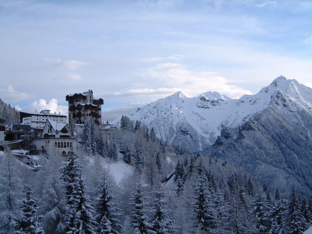 Clicca per vedere l'immagine alla massima grandezza