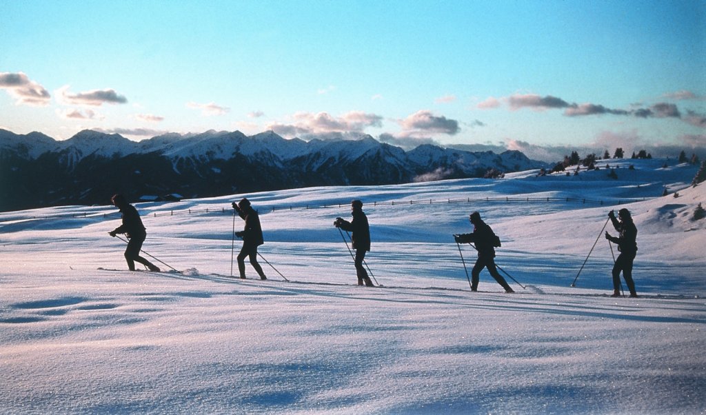 Clicca per vedere l'immagine alla massima grandezza