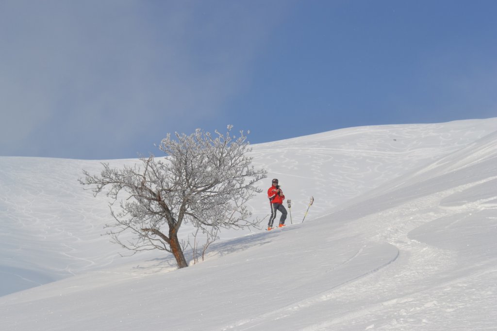 Clicca per vedere l'immagine alla massima grandezza