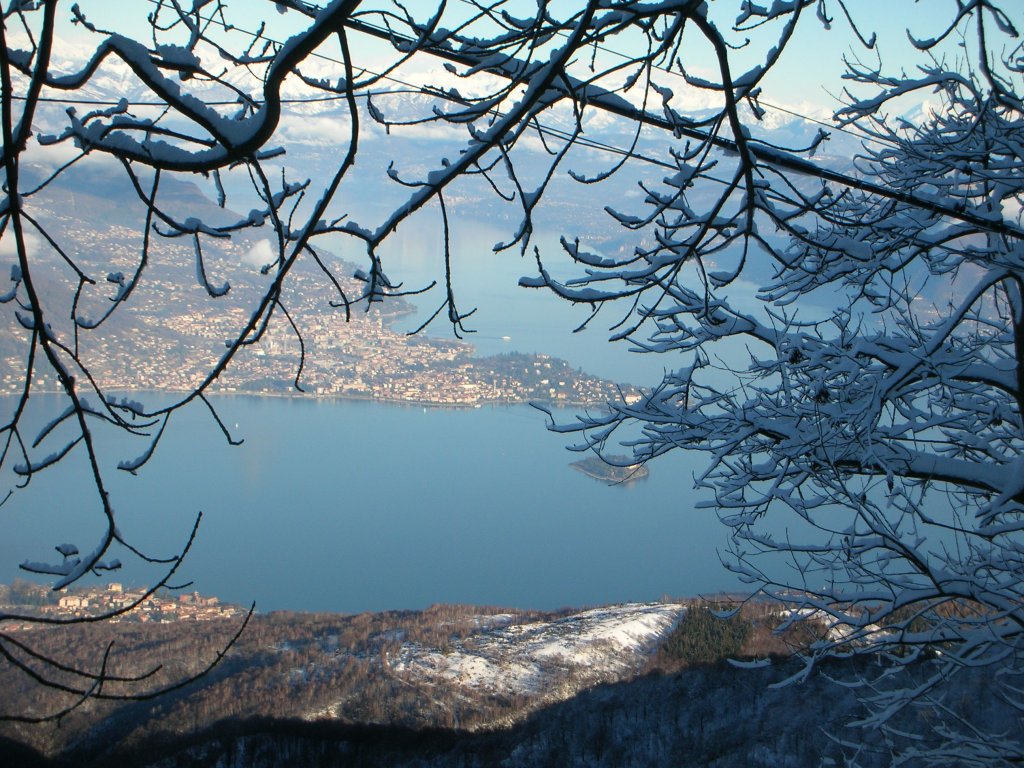 Clicca per vedere l'immagine alla massima grandezza