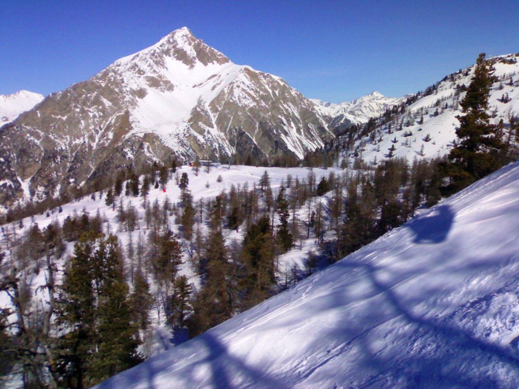 Clicca per vedere l'immagine alla massima grandezza