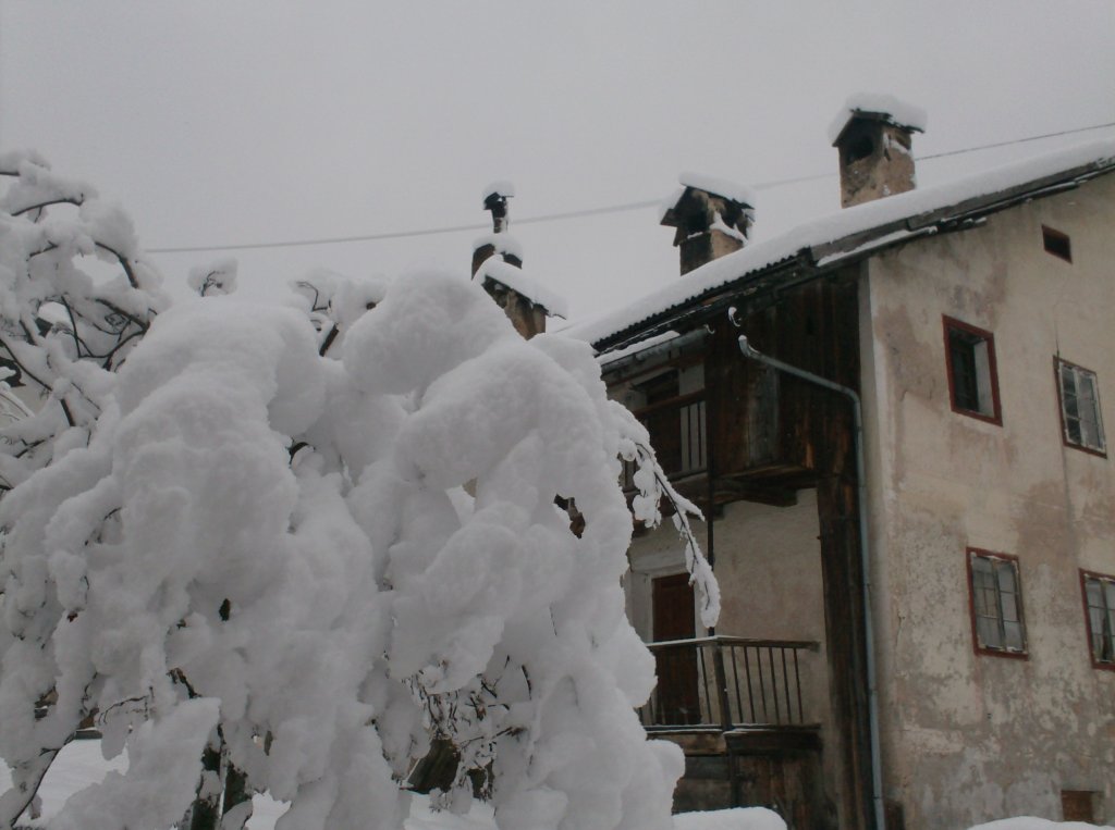 Clicca per vedere l'immagine alla massima grandezza