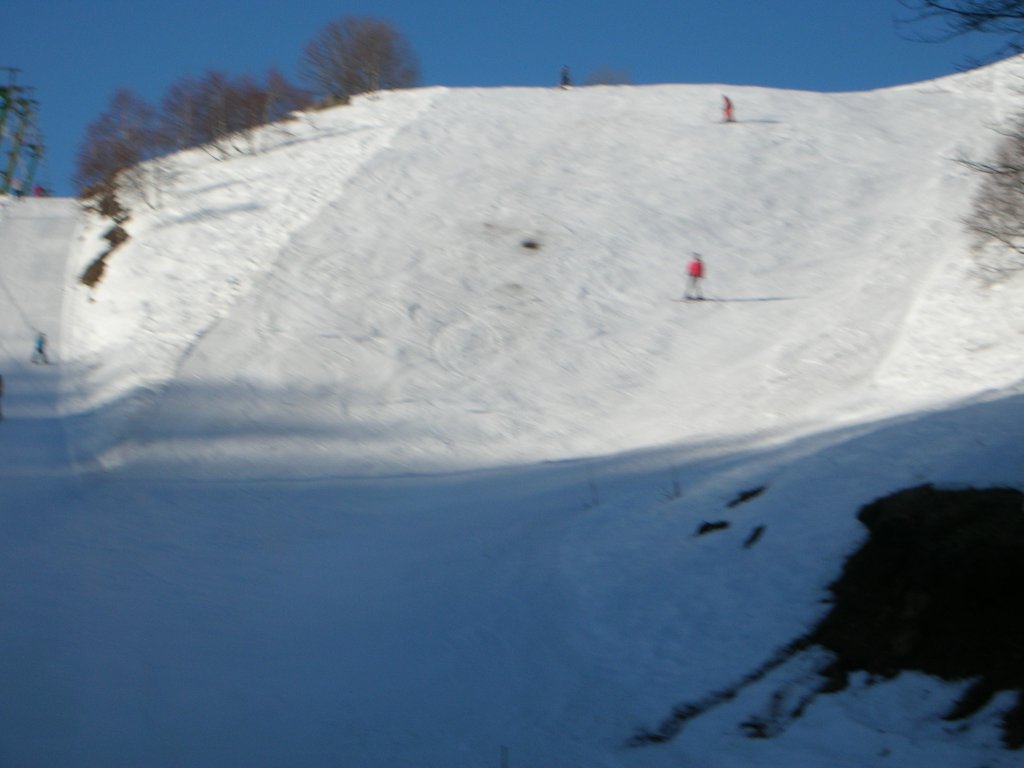 Clicca per vedere l'immagine alla massima grandezza