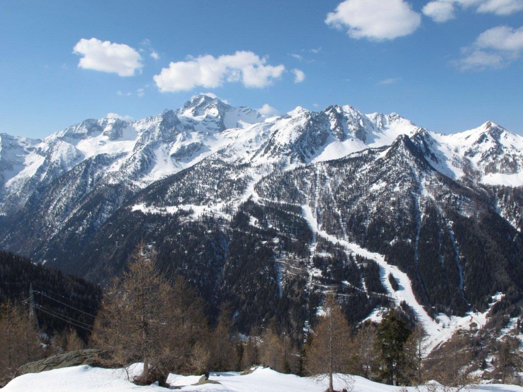 Clicca per vedere l'immagine alla massima grandezza