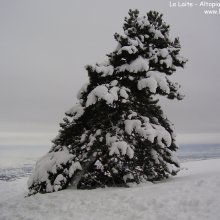 Le_Laite_Altopiano_di_Asiago_4.jpg