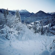 SAURIS_Lago_Sauris_neve.jpg