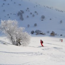 alberi-ghiacciati-alpes-dhuez.jpg