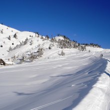 inverno2008__temu-ponte-tonale_010.jpg