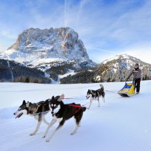 sledog-val-gardena.jpg