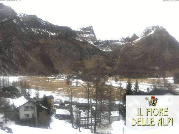 webcam Il Fiore delle Alpi