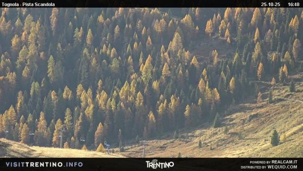 Webcam San Martino Di Castrozza Alpe Tognola