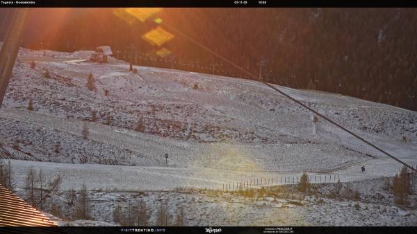 Tognola - Rododendro