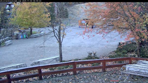 Webcam Whistler Blackcomb