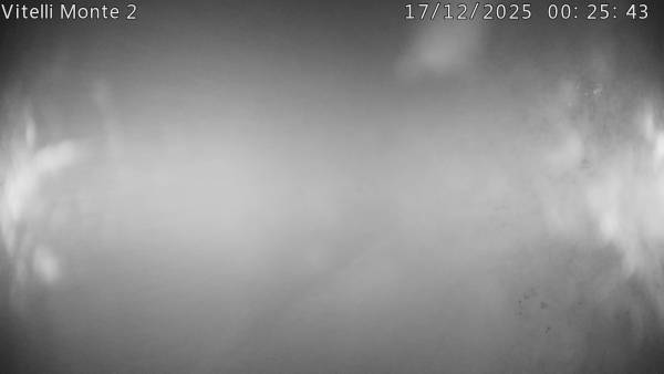 Vitelli stazione a monte