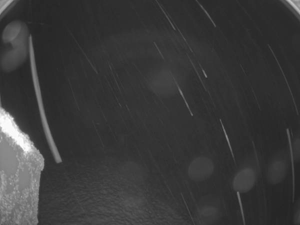 Webcam Frabosa Soprana Burrino