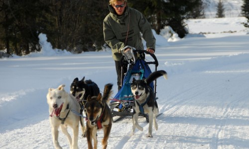 Maurizio Valdemarin - Seddog Fusine