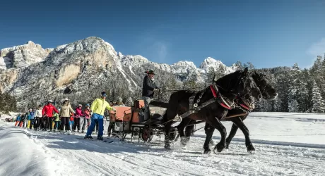 VIDEO - Alta Badia, cavalli imbizzarriti all'Armentarola