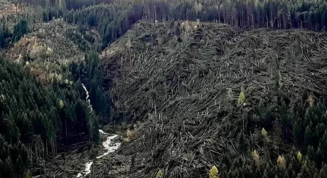 TRENTINO – Maltempo: danni a varie stazioni sciistiche