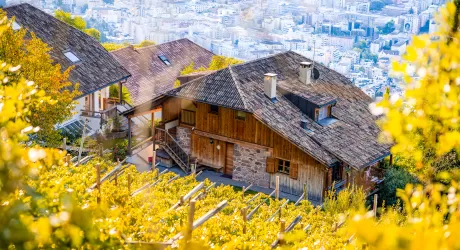 La scuola di cucina del Gallo rosso: nel maso si scoprono i piatti della tradizione