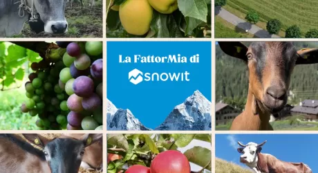 Nasce “La FattorMia di Snowit” un progetto di sostenibilità e di sostegno del territorio rurale