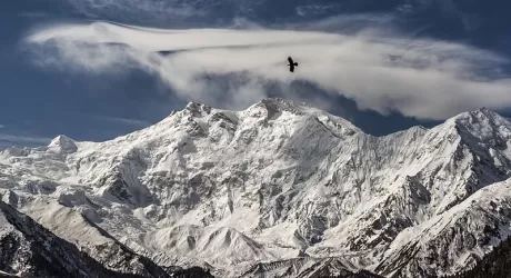 Impresa di Simone Moro: prima invernale del Nanga Parbat