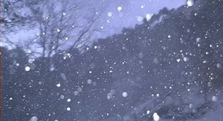 METEO NEVE - Finalmente la neve sulle alpi! Bollettino, webcam