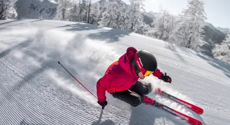 ATOMIC - La nuova gamma Redster con la tecnologia Revoshock