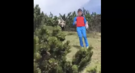 Incontro ravvicinato di un bambino con un orso sulle Dolomiti di Brenta