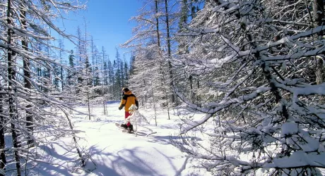 ALAGNA - Sci e ciaspolate per chi cerca compagnia