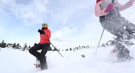 FRIULI - Tutte le attività extra sci e gli appuntamenti per il Carnevale