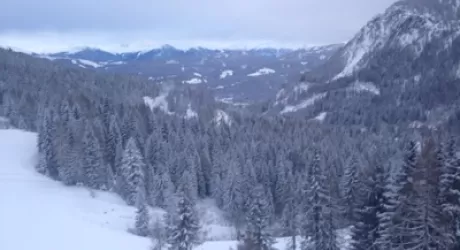NEVE - Finalmente è arrivato l'inverno sulle Alpi 