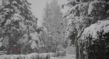 NEVE SULLE ALPI - Le foto di Bardonecchia imbiancata