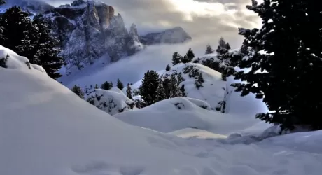 E' di Cominotti Franco la foto più bella nel forum