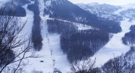 GARESSIO 2000 - Due aziende interessate alla ski area