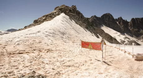 Perché l'alga rosa è pericolosa per i ghiacciai