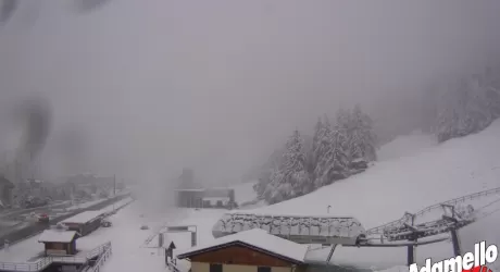 NEVE SULLE ALPI guarda le webcam