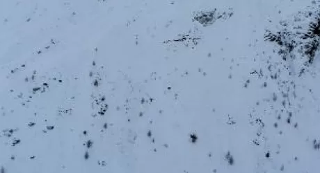 SOELDEN - Dramma sugli sci: due ragazzi dell'Us Ski Team morti sotto una valanga